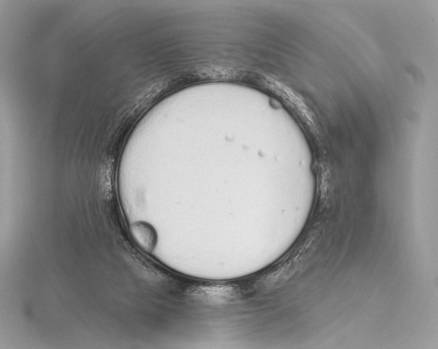 X0000115710065200912101246