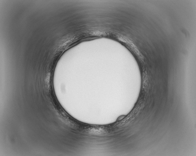 X0000115710066200912101246