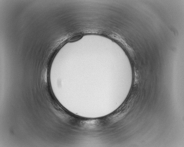 X0000115710068200912101246