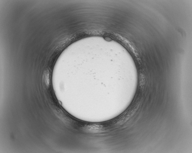 X0000115710069200912101246