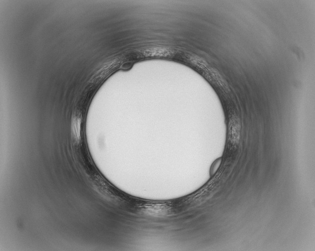 X0000115710070200912101246