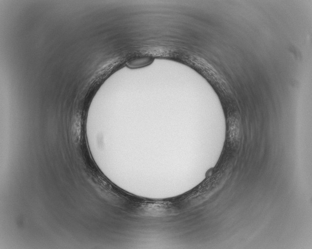 X0000115710072200912101246