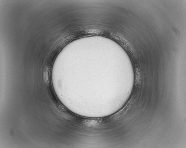 X0000115710074200912101246