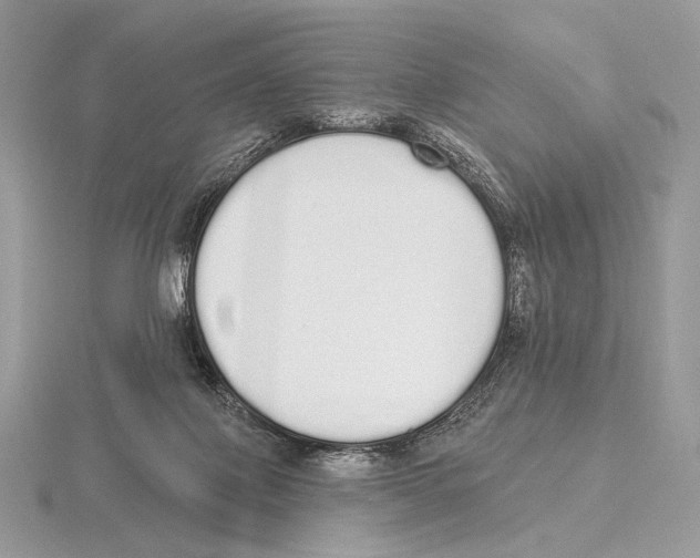 X0000115710075200912101246