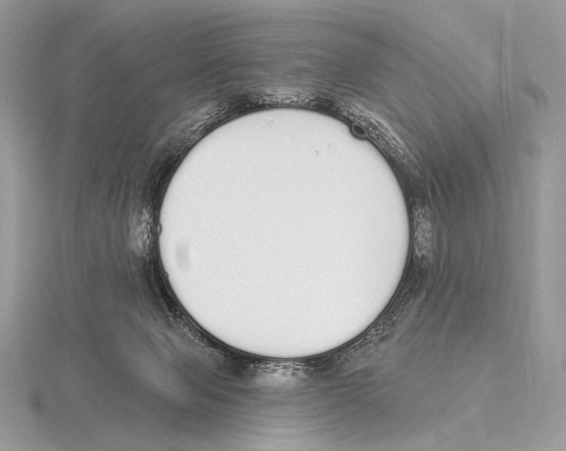 X0000115710077200912101246