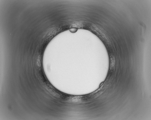 X0000115710078200912101246