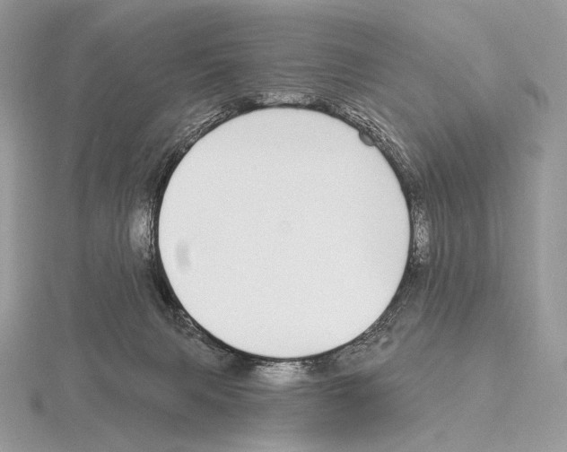 X0000115710079200912101246