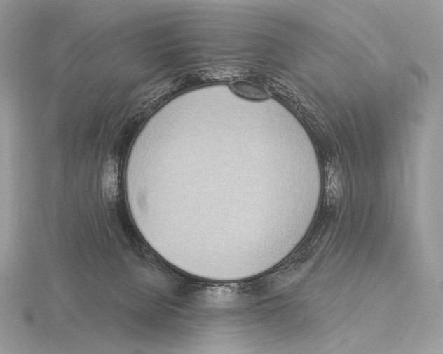 X0000115710080200912101246