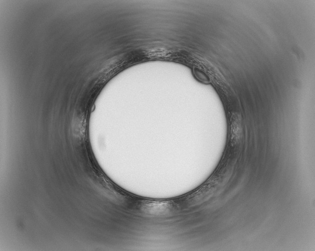 X0000115710081200912101246