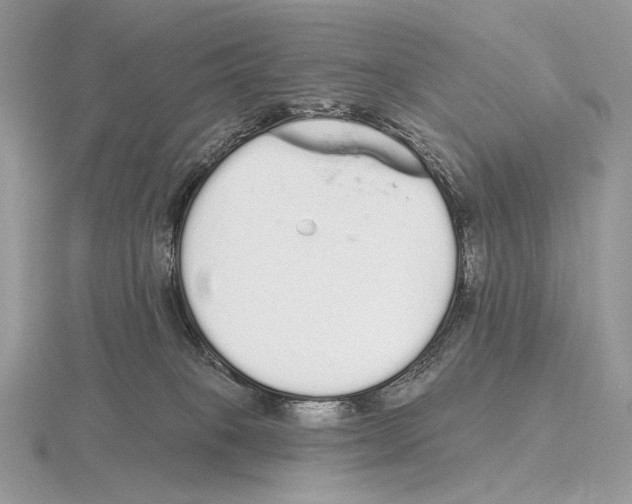 X0000115710085200912101246