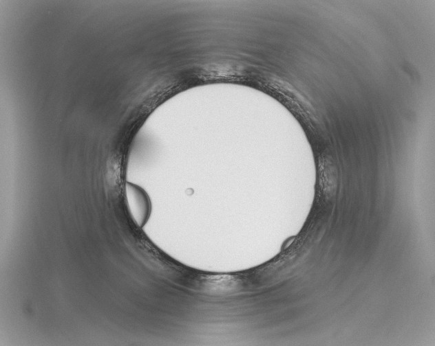 X0000115710087200912101246