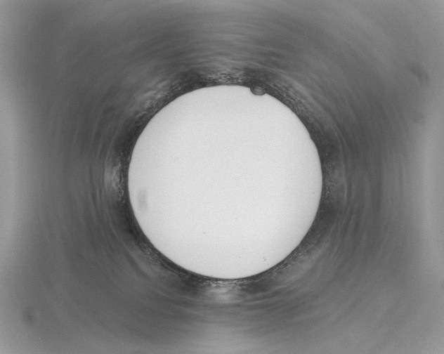 X0000115710088200912101246