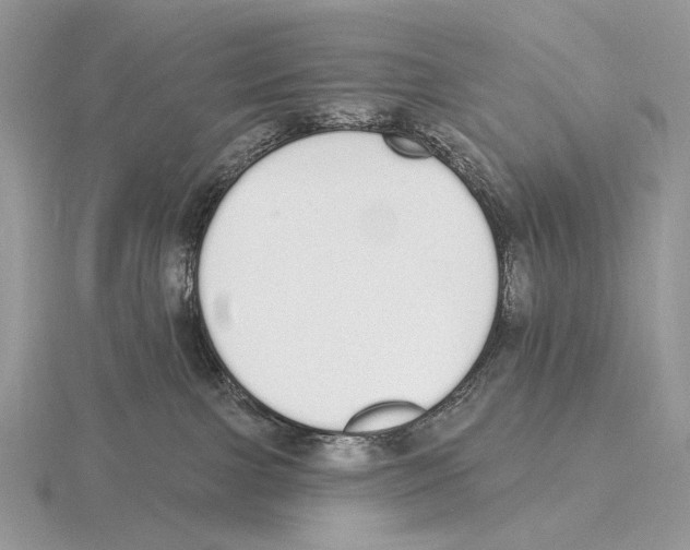 X0000115710091200912101246