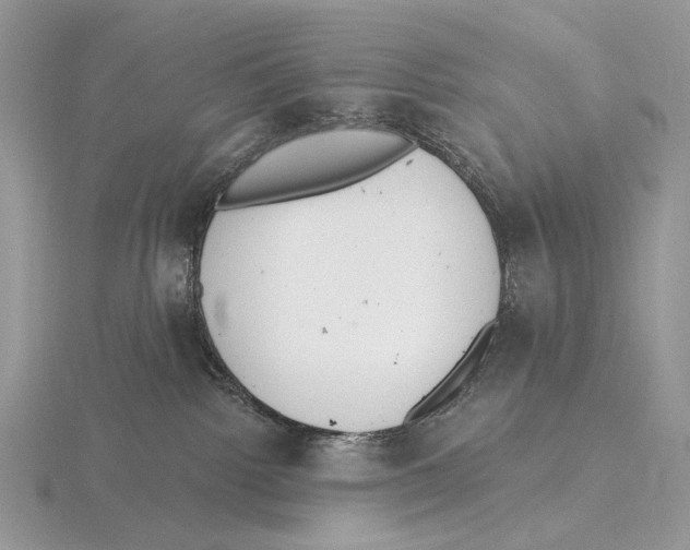 X0000115710092200912101246