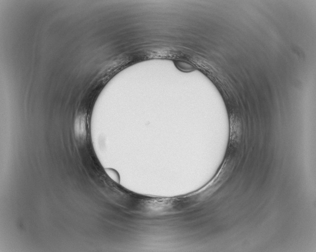 X0000115710094200912101246