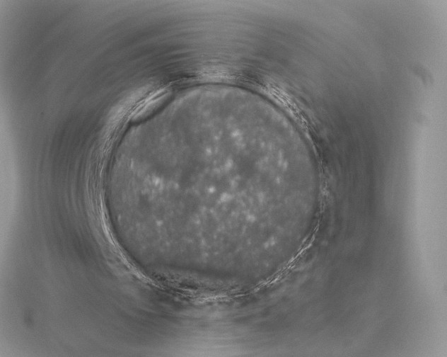 X0000115710097200912101246