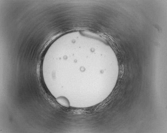 X0000115710098200912101246