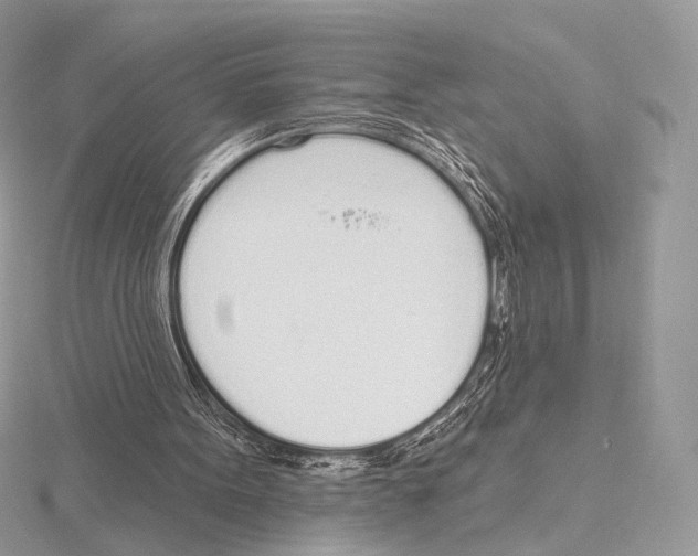 X0000115710099200912101246