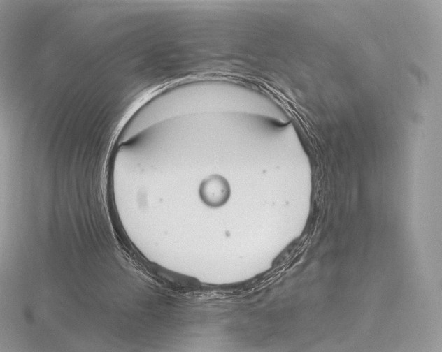 X0000115710100200912101246