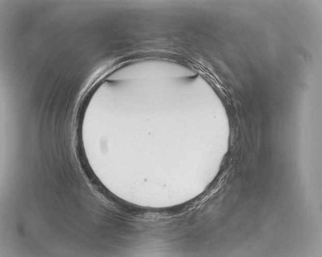 X0000115710101200912101246