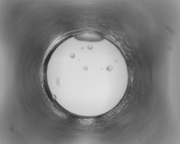 X0000115710102200912101246