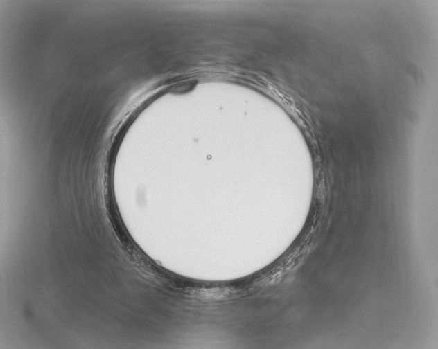 X0000115710103200912101246