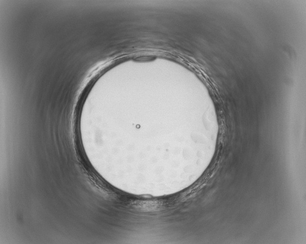 X0000115710104200912101246