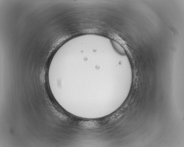 X0000115710106200912101246