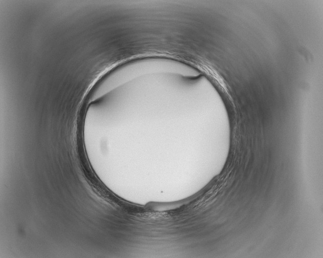 X0000115710108200912101246