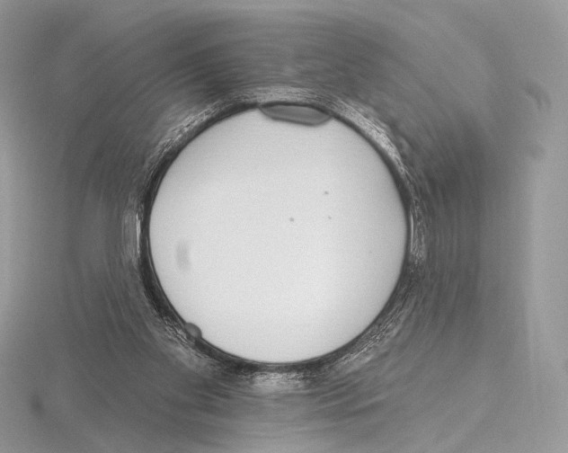 X0000115710109200912101246