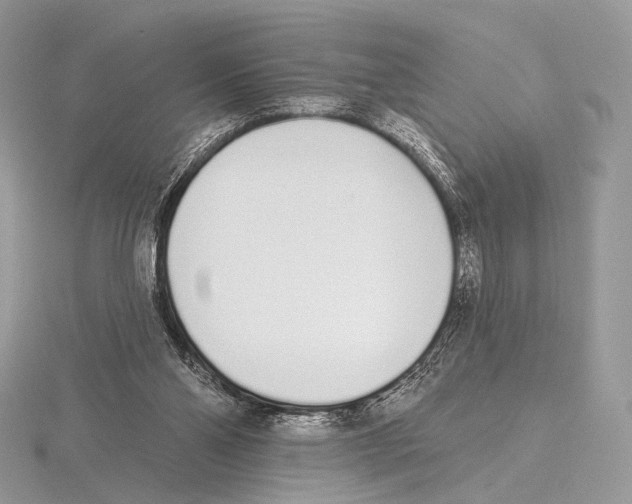 X0000115710110200912101246