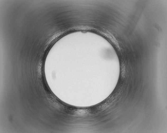 X0000115710111200912101246