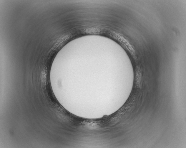 X0000115710113200912101246