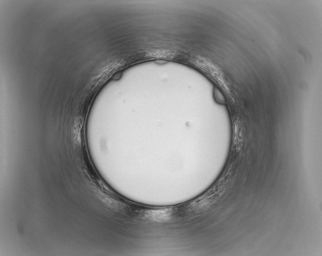 X0000115710114200912101246