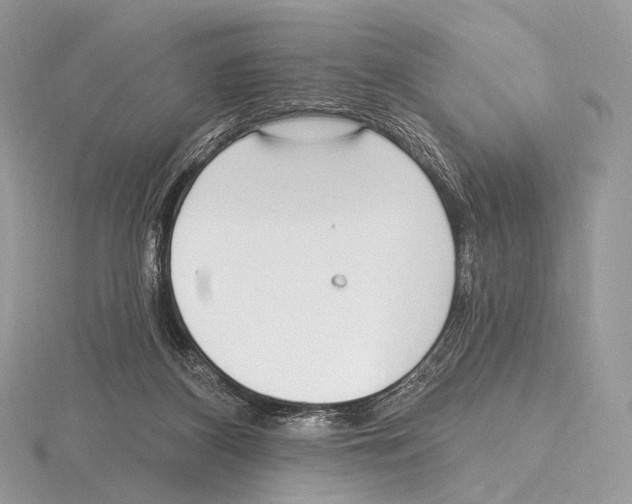 X0000115710116200912101245