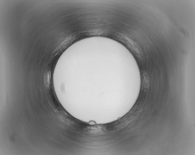 X0000115710118200912101245