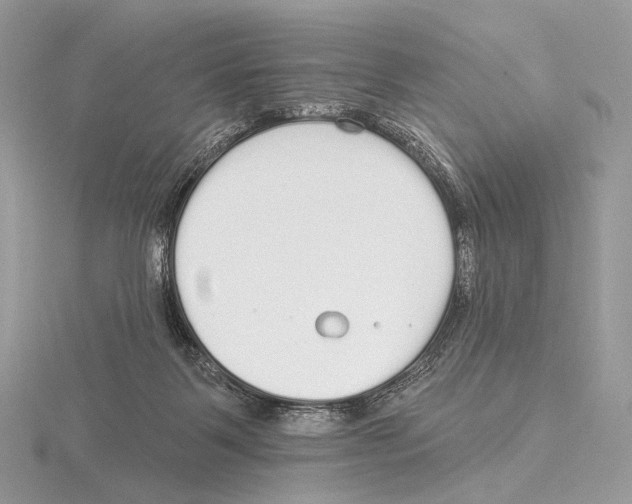 X0000115710123200912101245