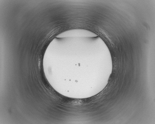 X0000115710124200912101245