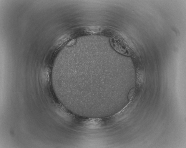 X0000115710128200912101245