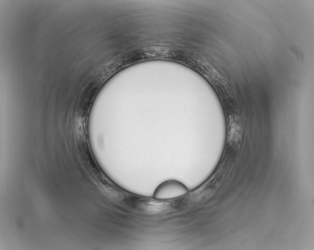 X0000115710130200912101245