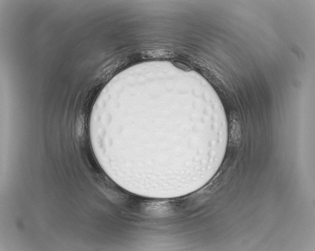 X0000115710132200912101245