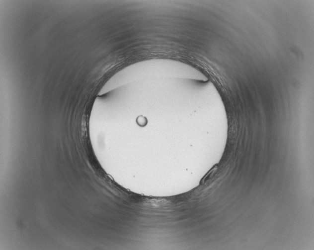 X0000115710137200912101245