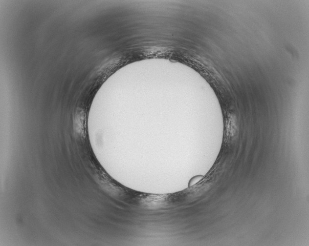 X0000115710138200912101245