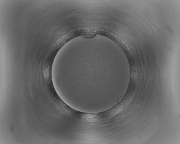 X0000115710139200912101245