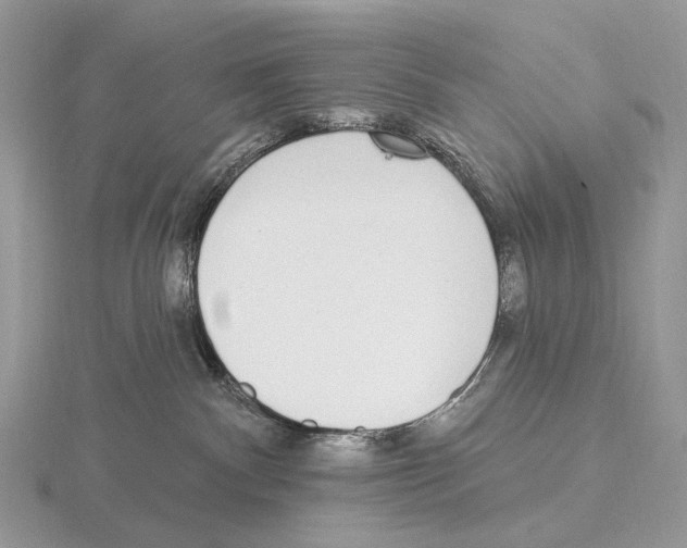 X0000115710140200912101245