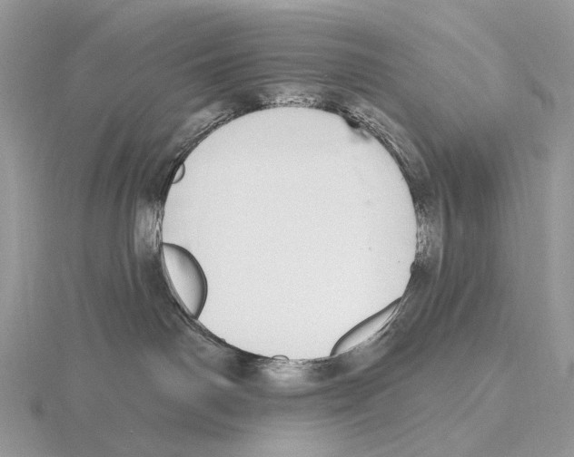 X0000115710142200912101245