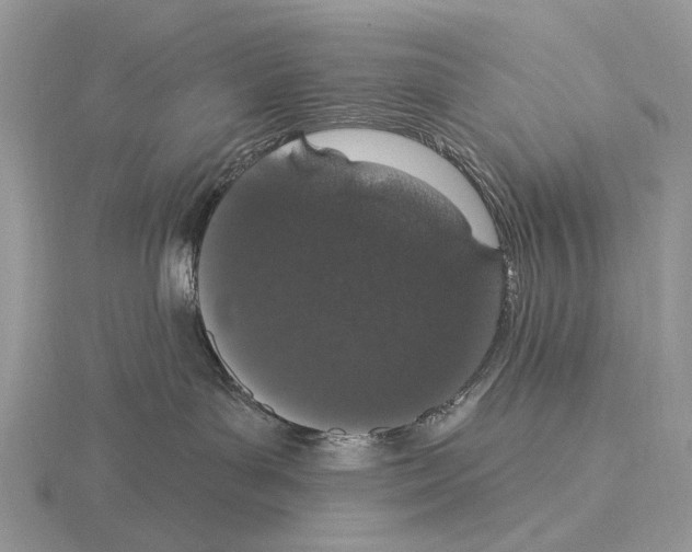 X0000115710143200912101245