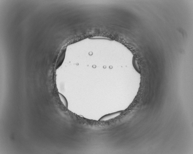 X0000115710144200912101245