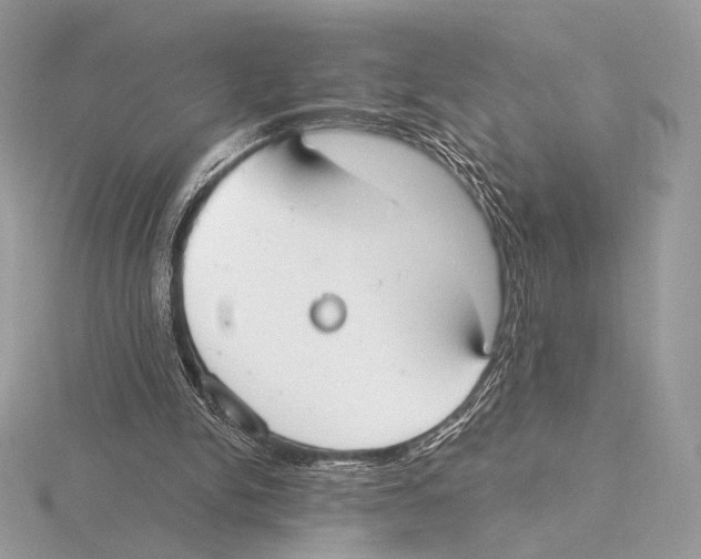 X0000115710150200912101244