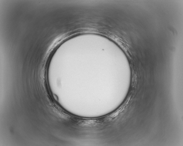 X0000115710151200912101245